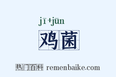 鸡菌是什么意思的图片